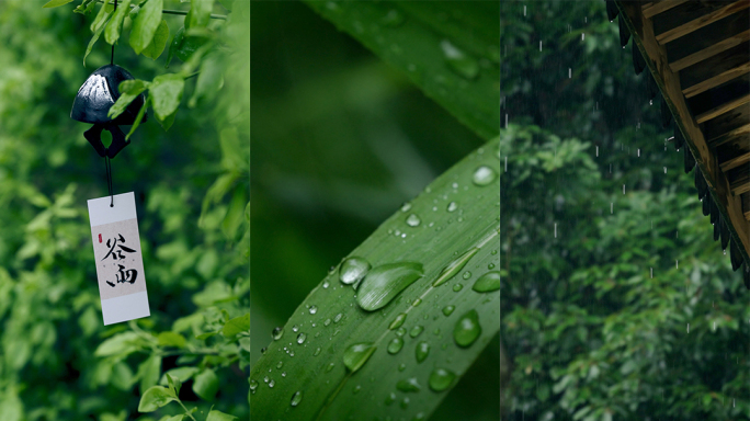 【竖屏】谷雨雨水春雨雨天意境二十四节气