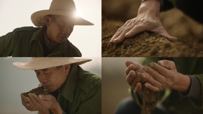 农民的土地情怀