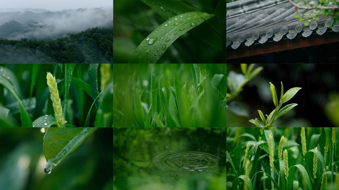 【合集】谷雨雨水春雨雨天意境二十四节气