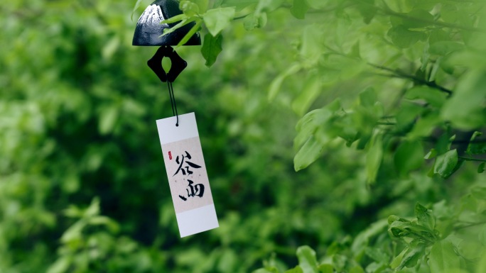 【合集】谷雨雨水春雨雨天意境二十四节气