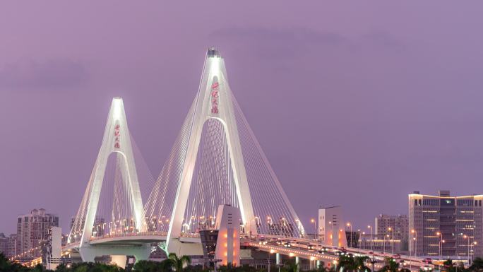 夜幕下的世纪大桥