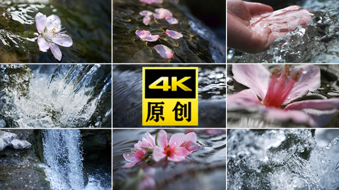 花水流白酒花朵空镜水源唯美诗意溪流山泉水