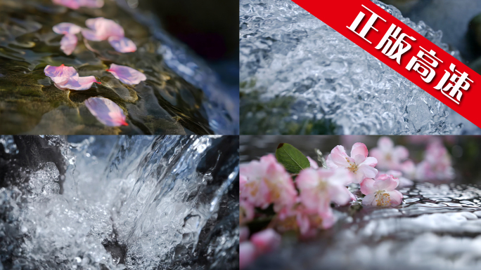 水 花春水桃花花瓣水禅意意境风景花瓣泉水