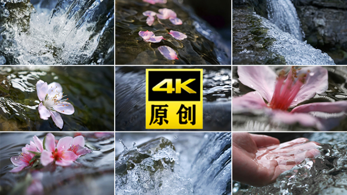 水 花春水桃花花瓣水禅意意境风景花瓣泉水