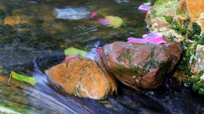 山溪流水落花唯美意境