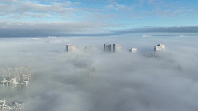 DJI_0469 3