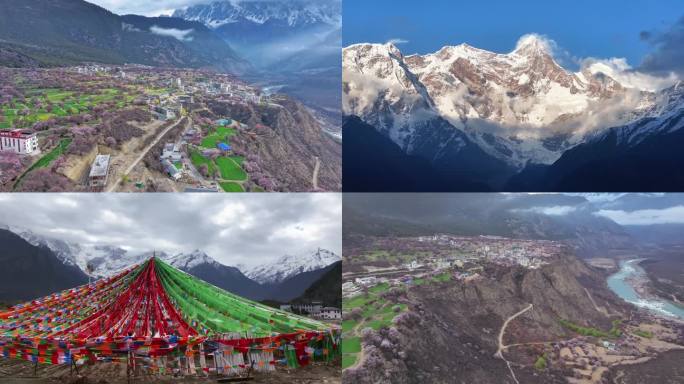 2025年航拍林芝桃花节 索松村雪山桃花