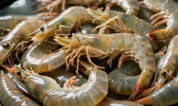 新鲜大虾的美味诱惑