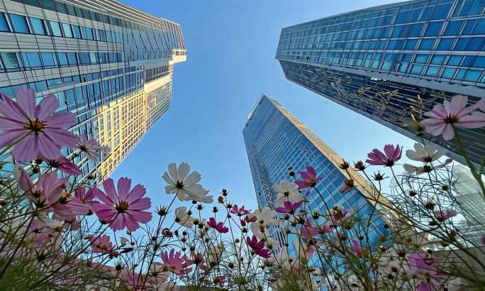 城市天际线与自然花卉
