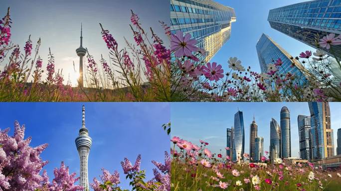 城市天际线与自然花卉