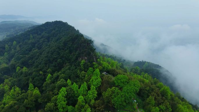 云雾缭绕的山峦森林
