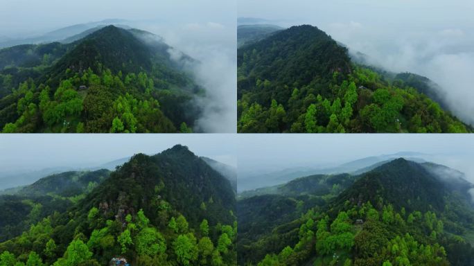 云雾缭绕的山峦森林