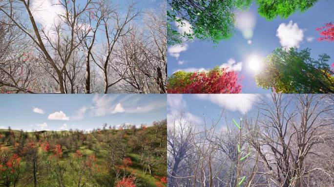 春天来了树木发芽春暖花开春分万物复苏