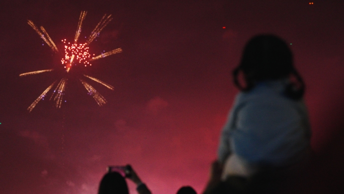 湖南浏阳焰火晚会人群庆祝烟花绽放
