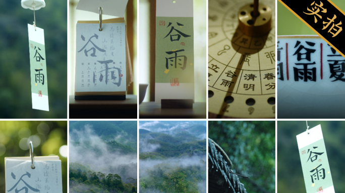 谷雨竖版｜屋檐下雨 春雨雨滴雨水风景视频