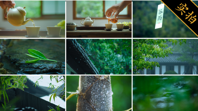 4k谷雨节气｜下雨雨滴春雨 春茶采茶泡茶