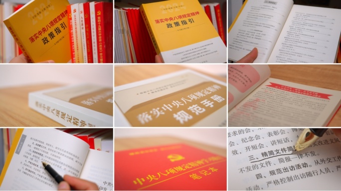 落实中央八项规定精神学习八项规定政策指引
