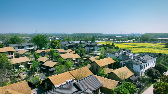 水乡春天唯美乡村旅游休闲、合肥大圩磨滩村