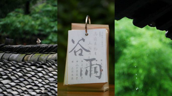 谷雨 谷雨节气 雨 下雨 竖版