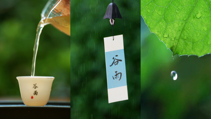 谷雨 谷雨节气 雨 下雨 竖版