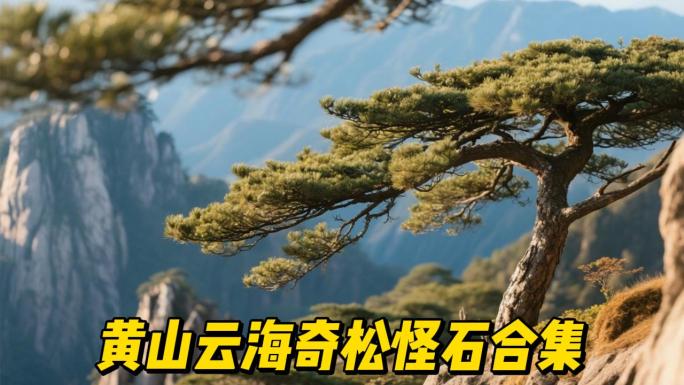 黄山云海奇松怪石10分钟合集