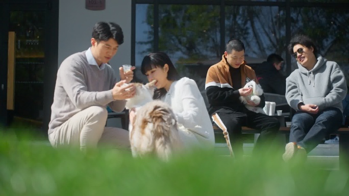 情侣与宠物狗狗互动 咖啡店休闲慢生活