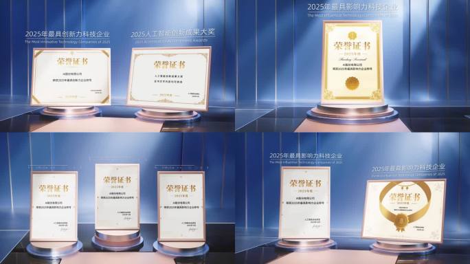 蓝色高端企业证书荣誉资质奖牌