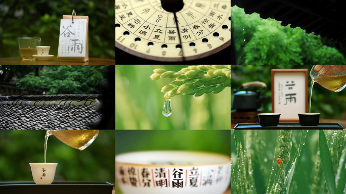 谷雨 谷雨节气  雨 下雨