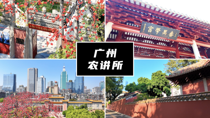 广州农讲所木棉花合集