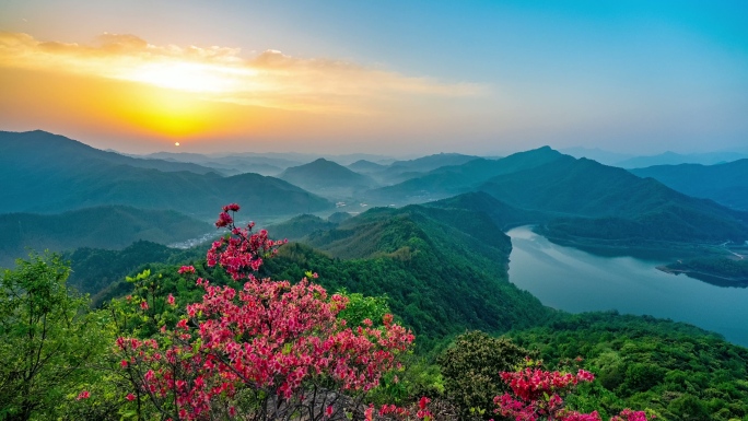 日出山峰姹紫嫣红映山红山花浪漫壮丽山河