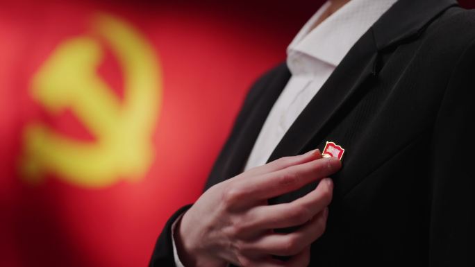 党员学习佩戴党徽庄严宣誓党建党政学习强国