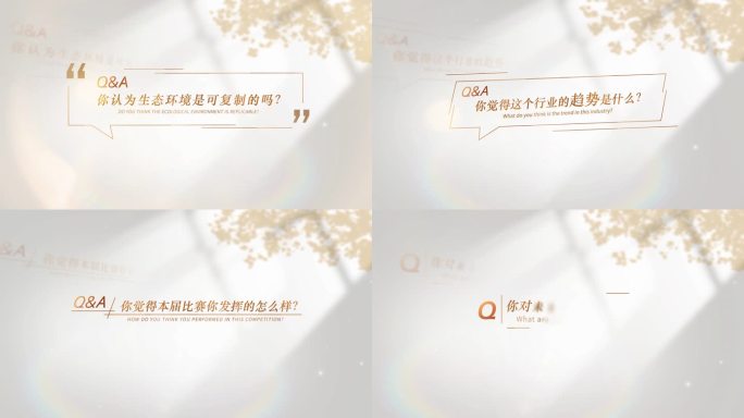 4K简洁光影采访提问文字字幕