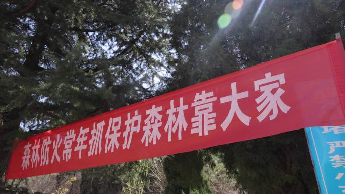 森林防火