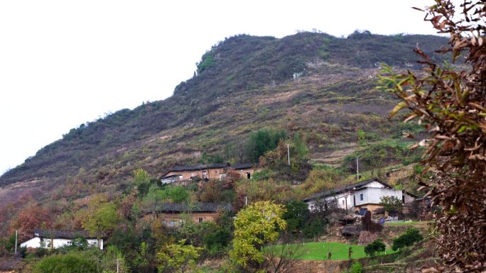 山村农舍