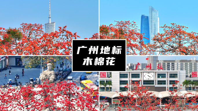 广州地标木棉花合集