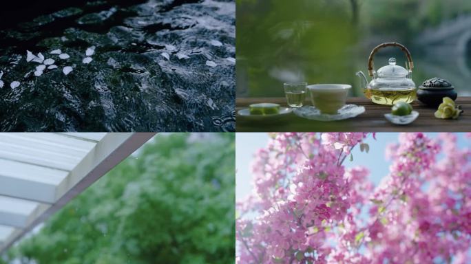 谷雨 谷雨节气 春雨 下雨 谷雨茶