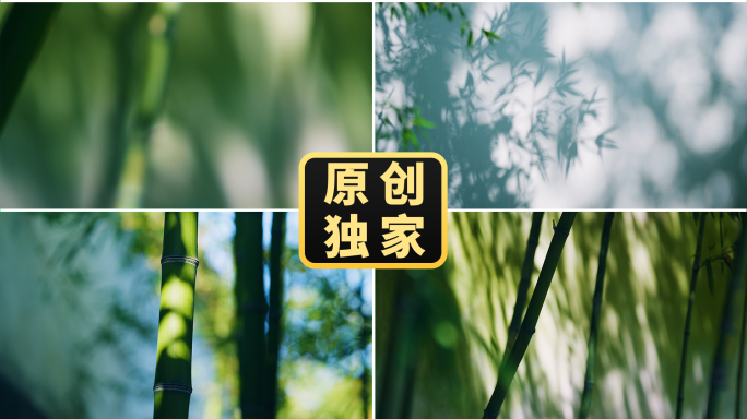 竹林光影竹影竹子竹叶影子写意空镜古风禅意
