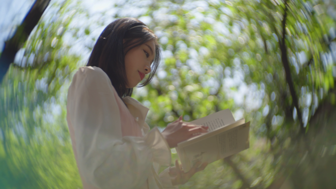 大学生校园读书樱花散落