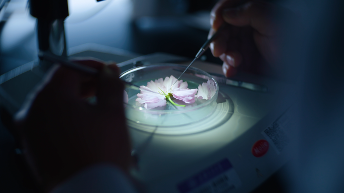 学生物理化学基础实验