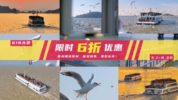 【4K精选】无锡鼋头渚红嘴鸥合集