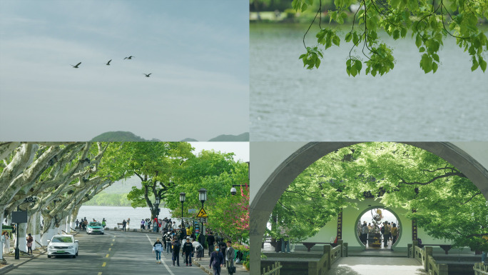杭州西湖人文风景