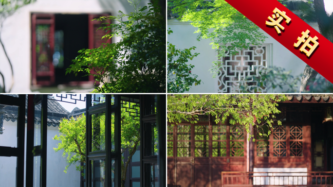 中式园林古建筑光影写意苏州园林江南风光