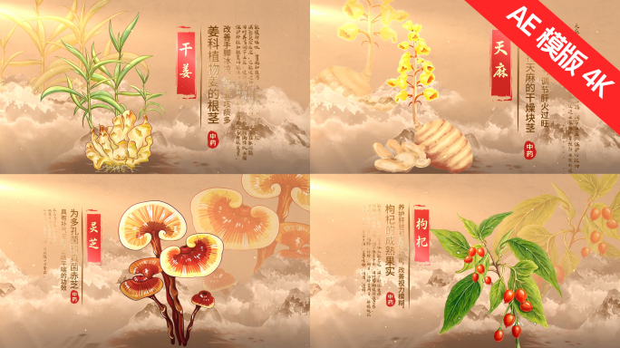 中医中药图文展示片头