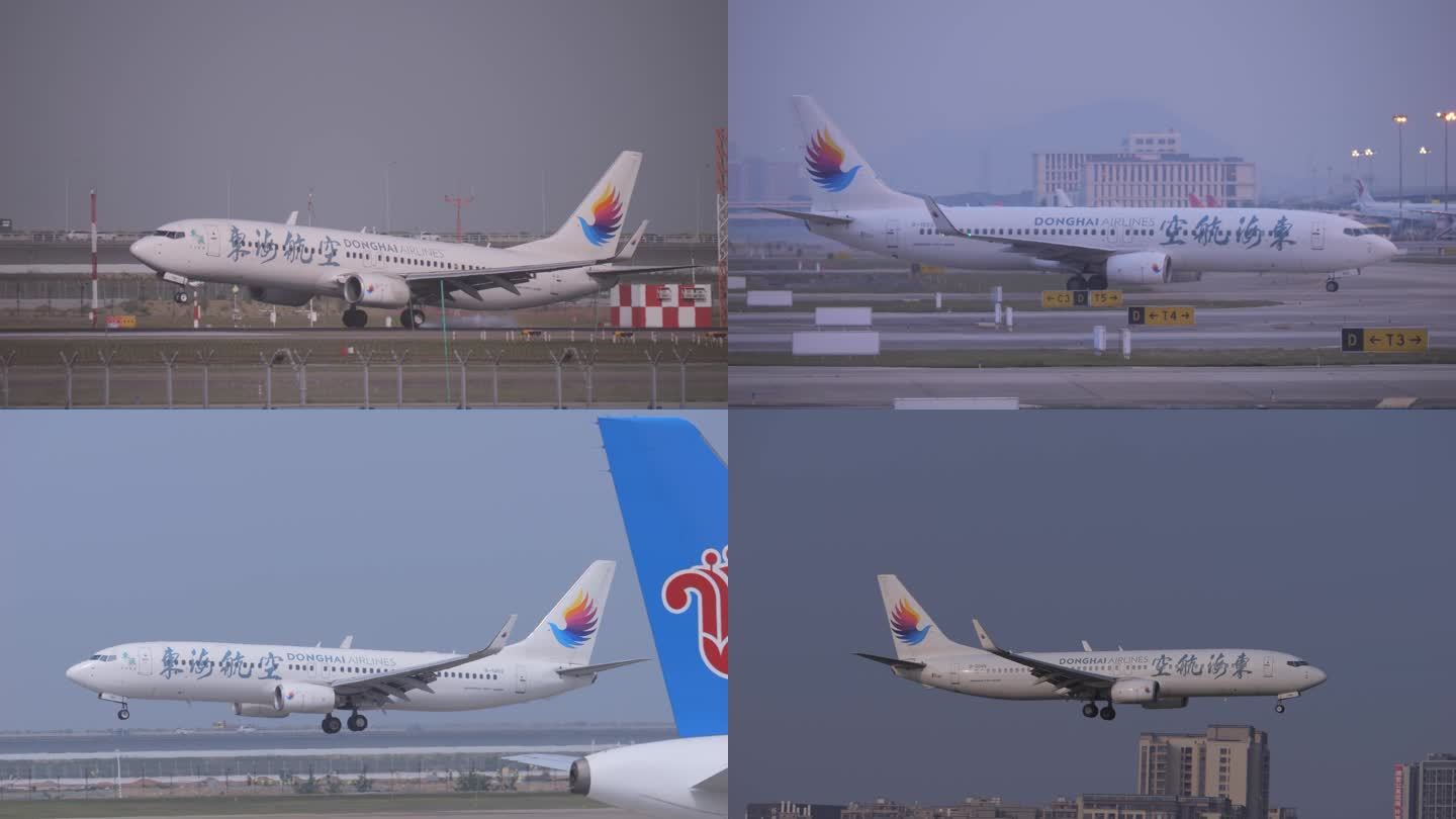 东海航空