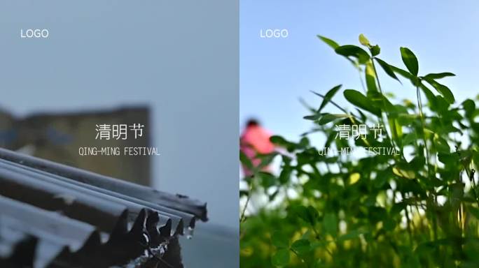 清明节 传统节日 节气视频