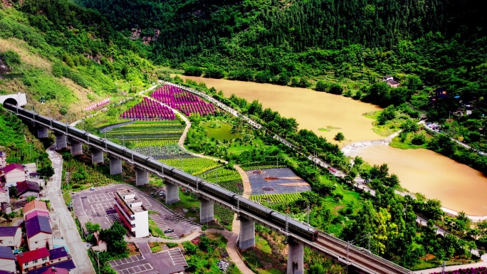 绿皮火车进隧道