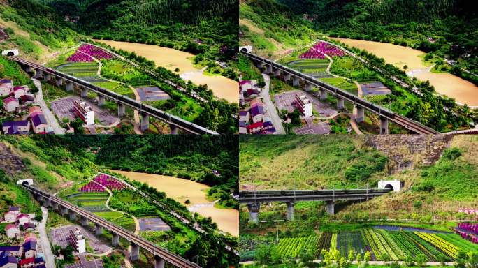 绿皮火车进隧道