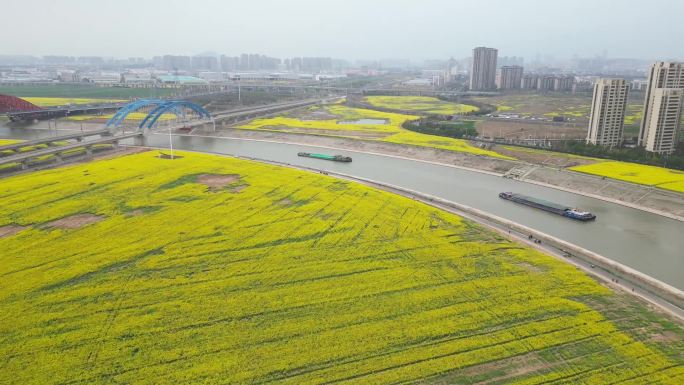 江河、轮船、油菜花