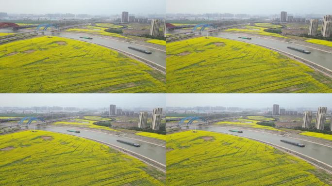 江河、轮船、油菜花