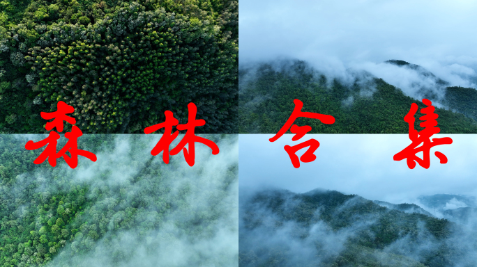 森林俯拍树林云雾山林云海绿色生态大自然